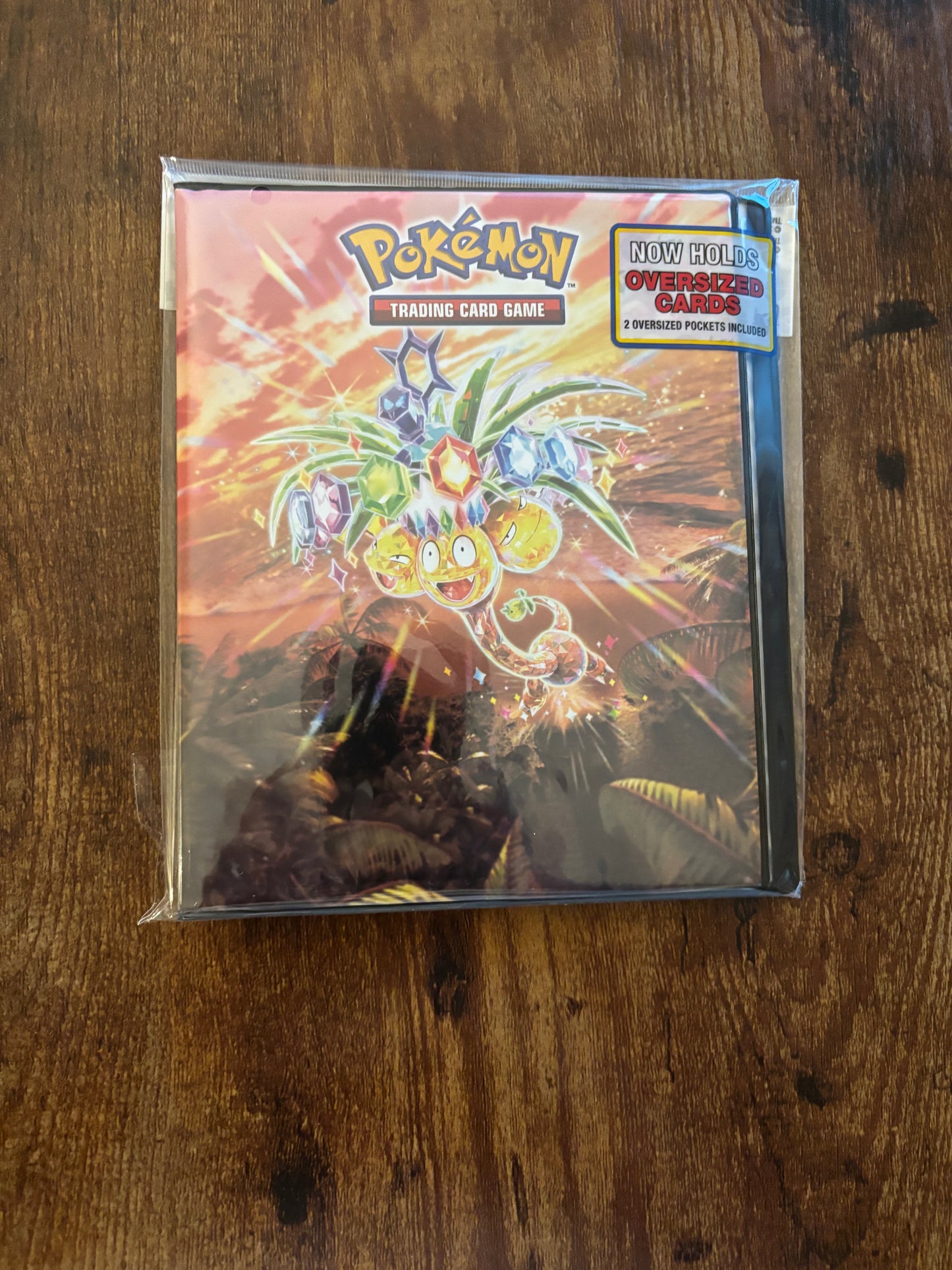 Portfolio Pokémon format A5